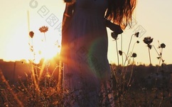 紫黑色蘑菇头顶开花缝